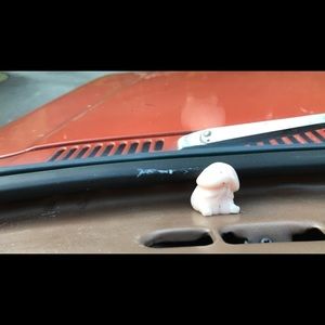 Meet your Posher, Maddie